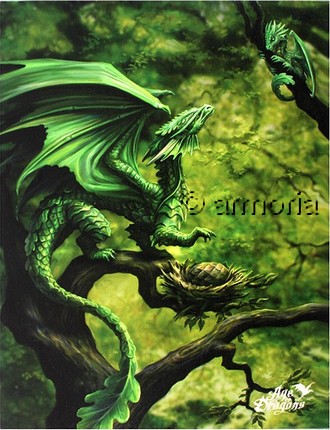 Reproduction sur toile Forest Dragon de Anne Stokes